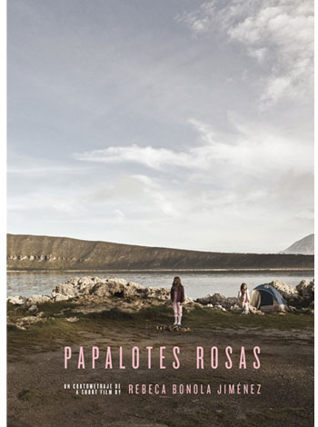 PAPALOTES ROSAS